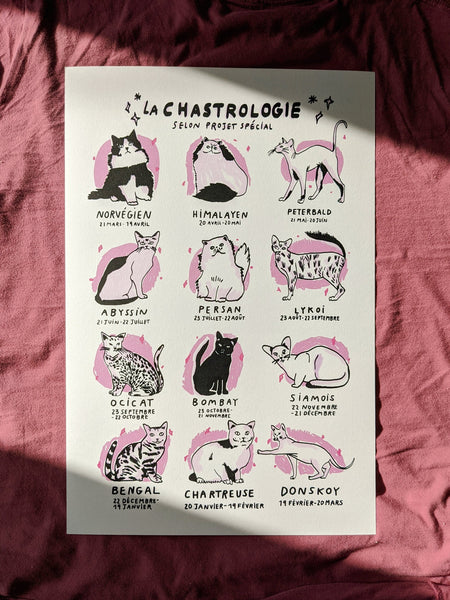 Affiche - Chastrologie