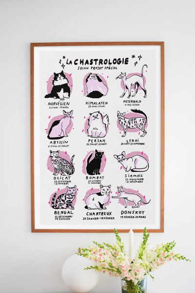 Affiche - Chastrologie